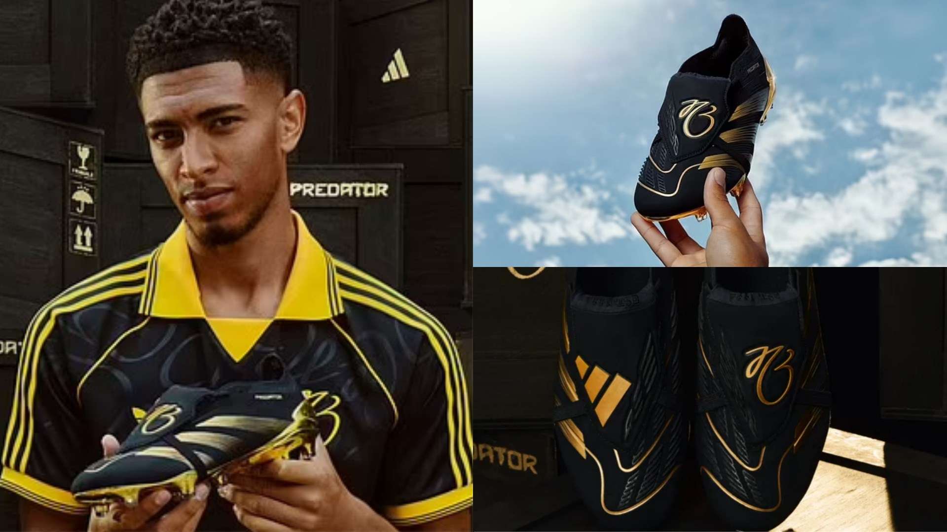 定性有所提 定性有所提