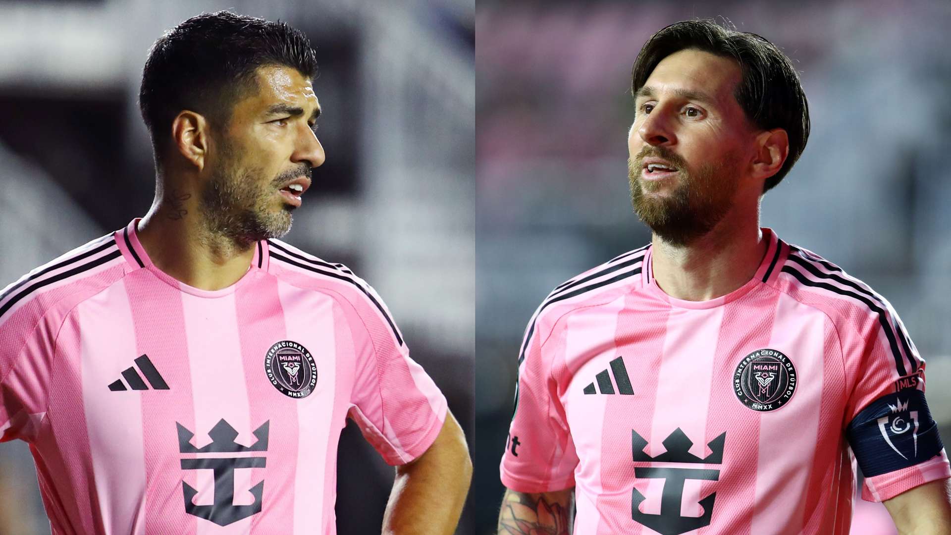 用热情支持 用热情支持